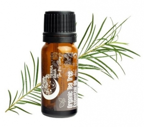 Aceite esencial orgnico de rbol de T
