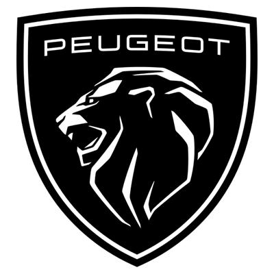 Kit Pintura PEUGEOT con barniz