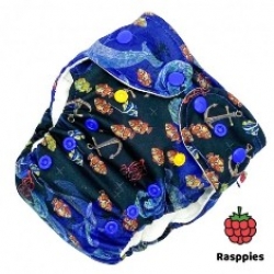 Rasppies AIO