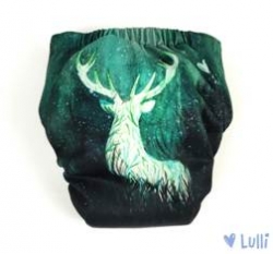 Lulli AIO